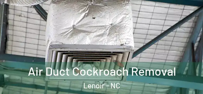  Air Duct Cockroach Removal Lenoir - NC