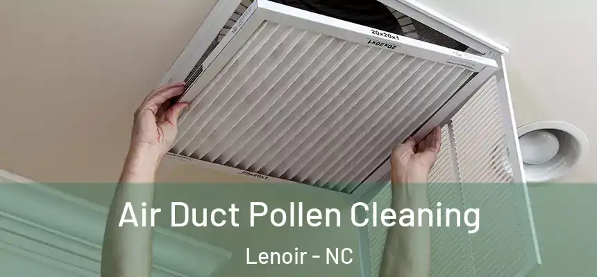  Air Duct Pollen Cleaning Lenoir - NC