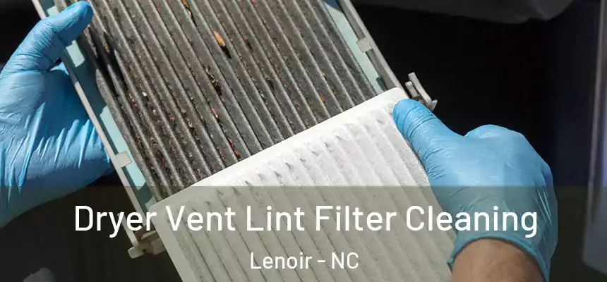  Dryer Vent Lint Filter Cleaning Lenoir - NC
