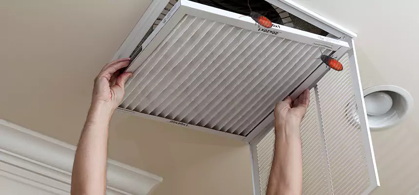 Our Insect Removal from Air Ducts Services in Lenoir, NC