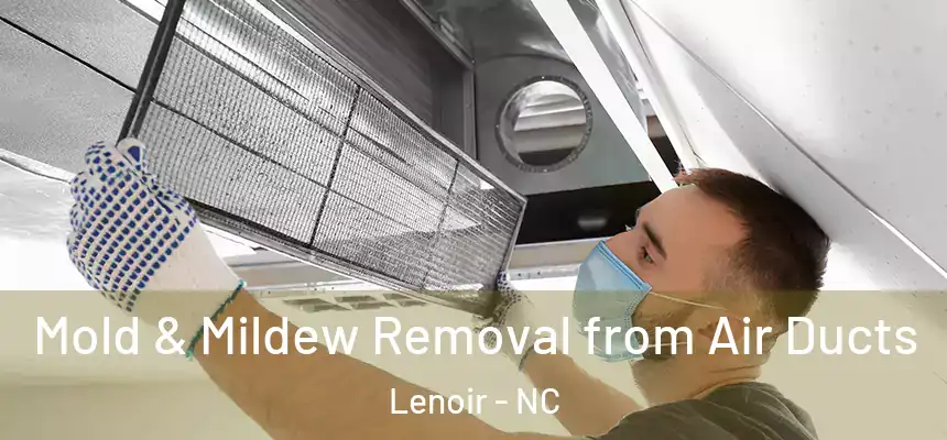  Mold & Mildew Removal from Air Ducts Lenoir - NC