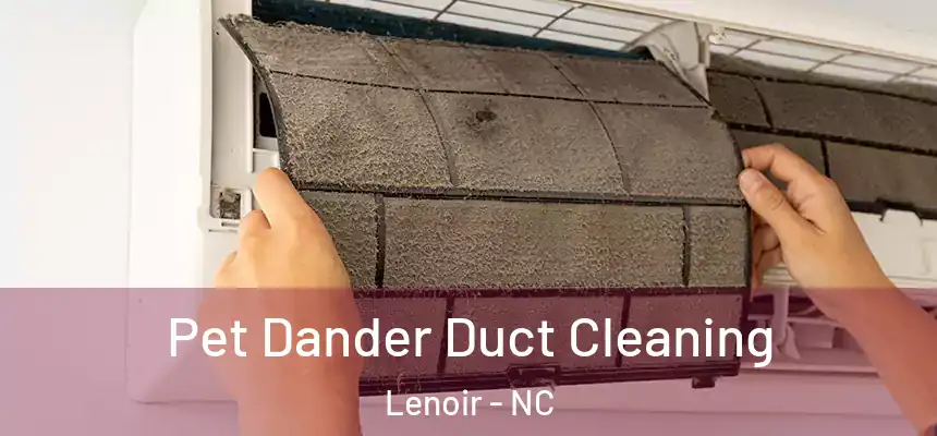  Pet Dander Duct Cleaning Lenoir - NC
