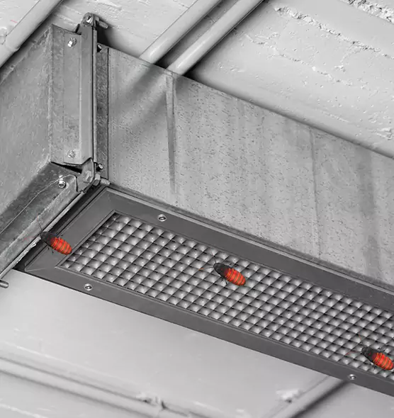 About Air Duct Cockroach Removal in Lenoir, NC