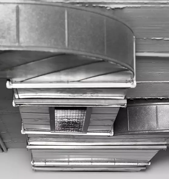 Professional Air Duct Pest Removal in Lenoir, NC