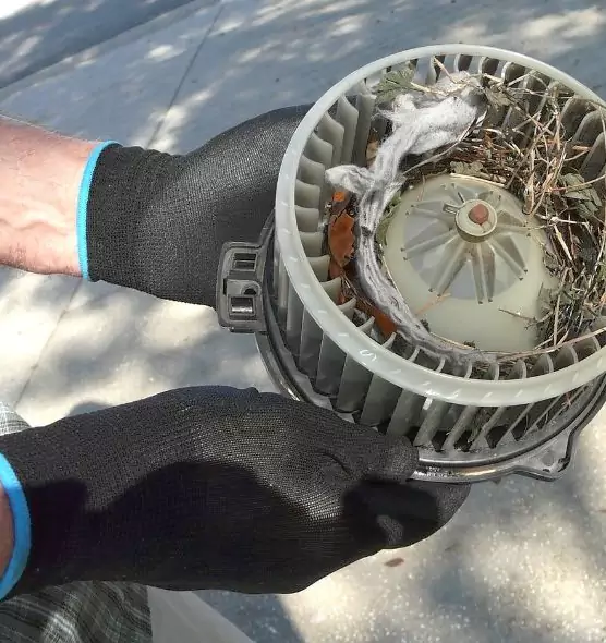 About Air Duct Rat Removal in Lenoir, NC