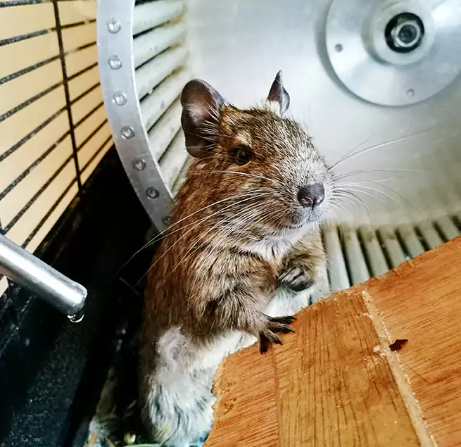 Why Homeowners & Businesses Trust Us Lenoir, NC?