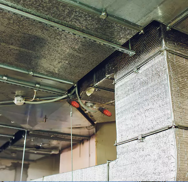 Why Homeowners & Businesses Trust Us Lenoir, NC?