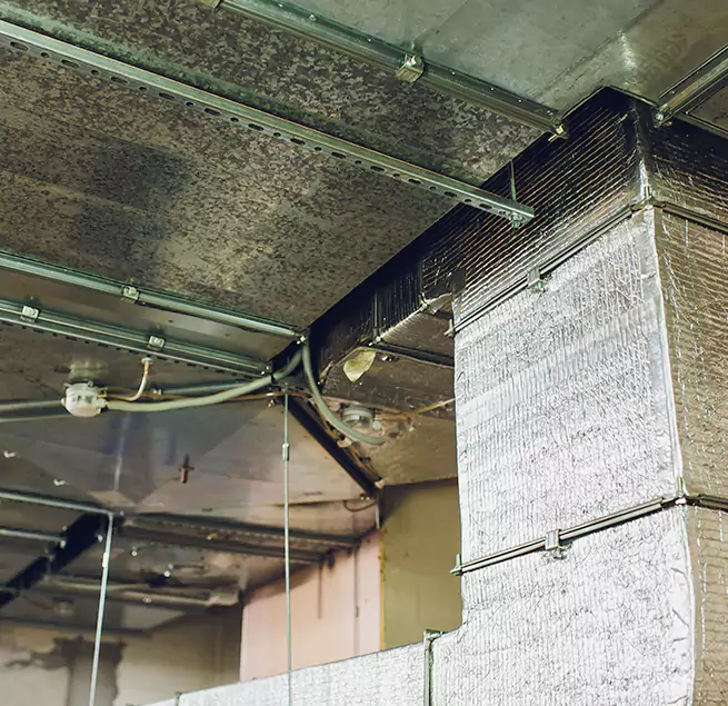 Why Homeowners & Businesses Trust Us in Lenoir, NC?